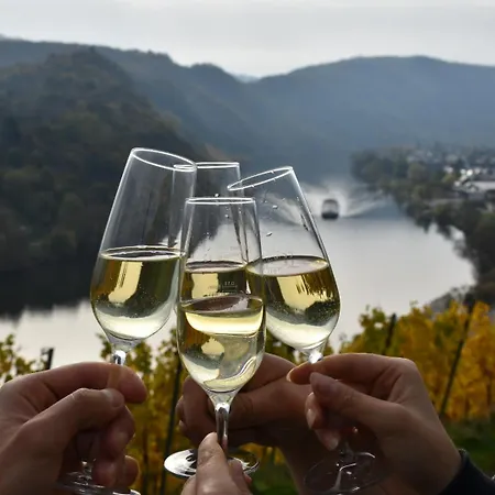 Bed & Breakfast Steinfelderhof 3*