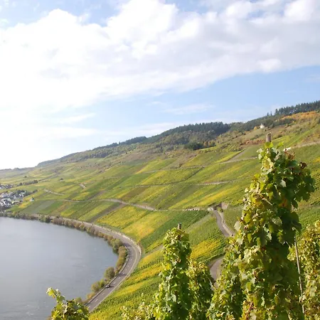 Steinfelderhof 3* Krov