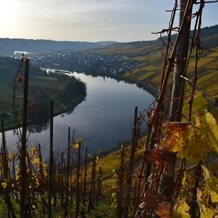 Bed & Breakfast Steinfelderhof Krov