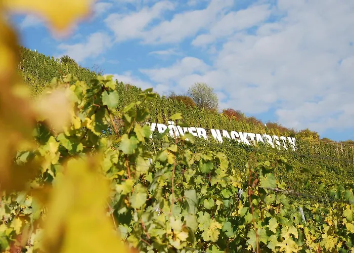 Steinfelderhof Bed & Breakfast