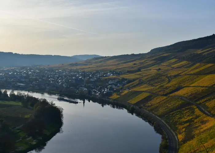 Bed & Breakfast Steinfelderhof