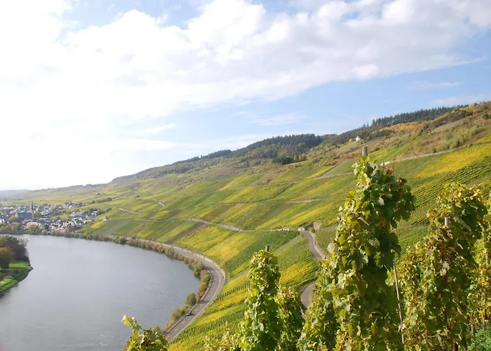 Steinfelderhof 3* Krov