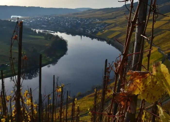 Bed & Breakfast Steinfelderhof Krov