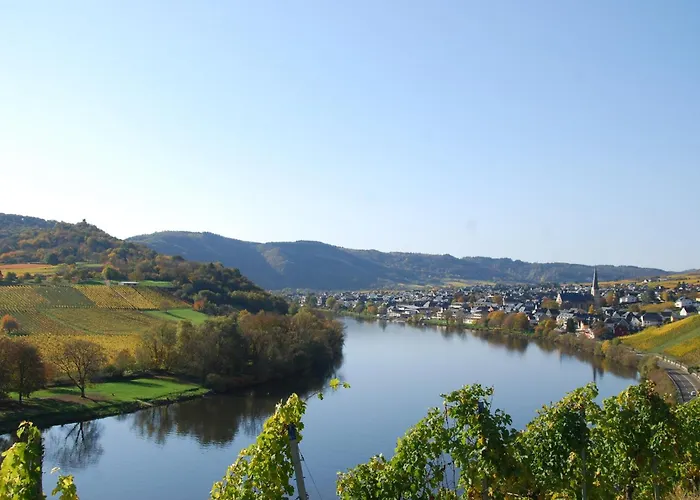 Steinfelderhof Bed & Breakfast